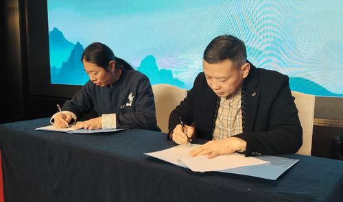 Latest company blogs about WEIZI Medical's participation in the 2024 4th Wudang Taoist Medical Health Care Conference and the 2025 Taoist Medical Appropriate Technology and Ion Medicine Seminar ended!