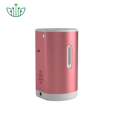 Good price Portable Hydrogen Inhaler with 99.9% Pure Hydrogen 150ml/min Output and 75ml/min Oxygen for Therapy online