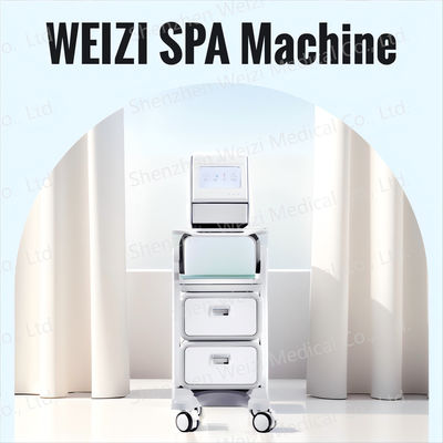 Good price Alkaline Water Hydrogen SPA Machine With Negative Ion Technology Acne Relief online