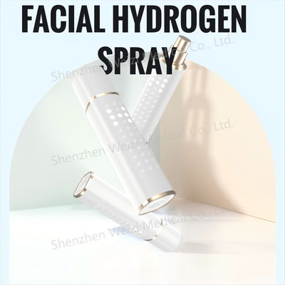 Good price Portable Moisturizer Hydrogen Mist Sprayer 1000PPB Convenient Compact online