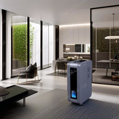 Good price 3L Hydrogen Therapy Machine Multiple Function Family Use H2 Inhalator online