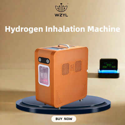 Good price AC220V Hydrogen Oxygen Inhaler Hydrogen Inhaling Machine 3000ml/M online